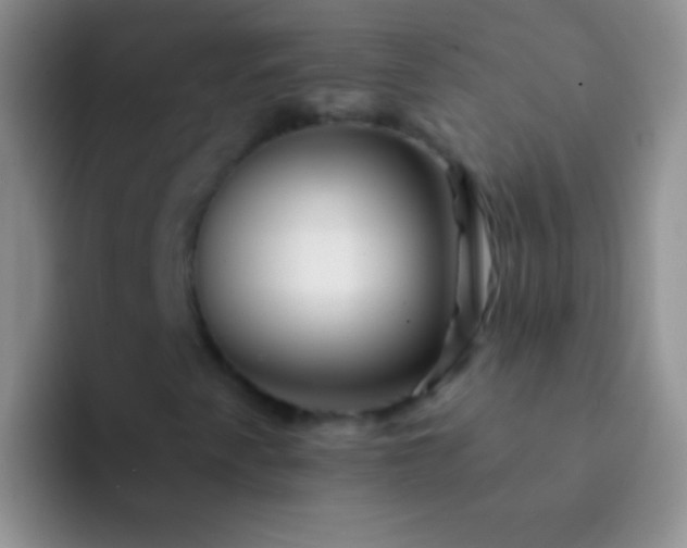 X0000092081345200709262057
