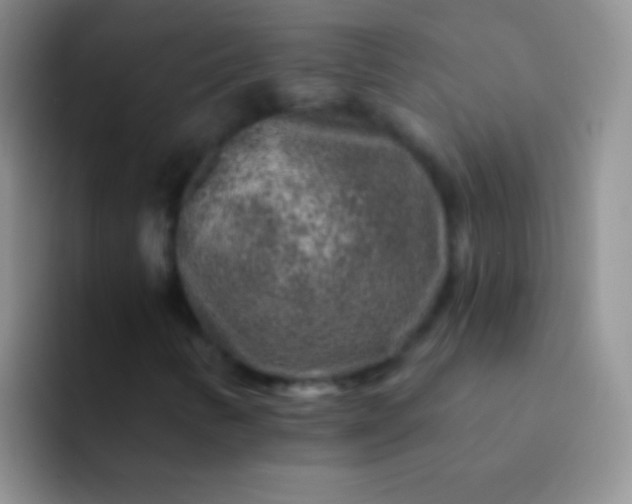 X0000092081346200709262057