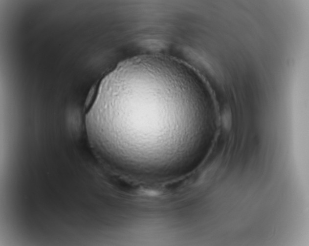 X0000092081347200709262057