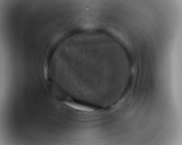 X0000092081348200709262057