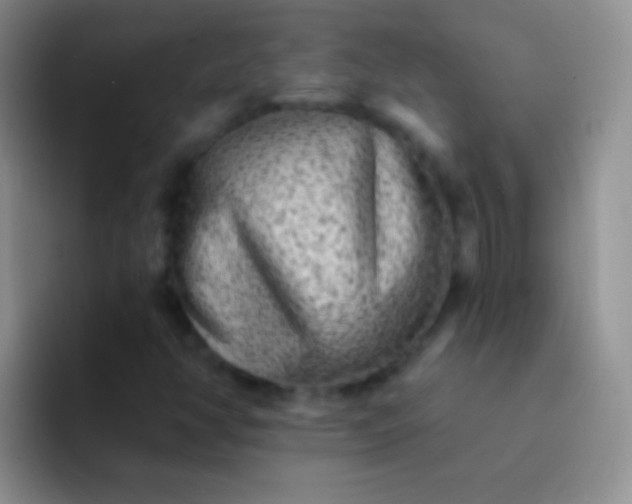 X0000092081350200709262057