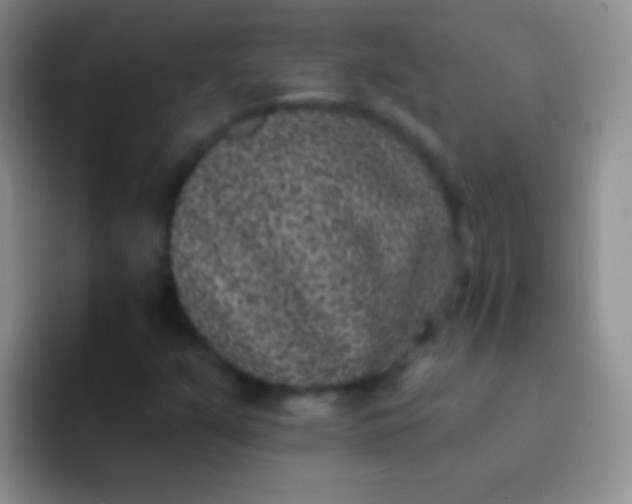 X0000092081351200709262057