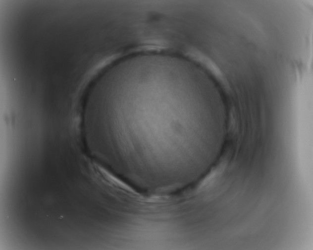 X0000092081352200709262056