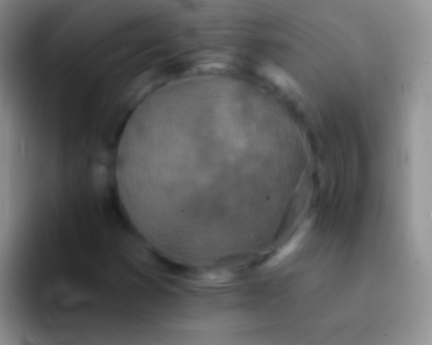X0000092081353200709262056