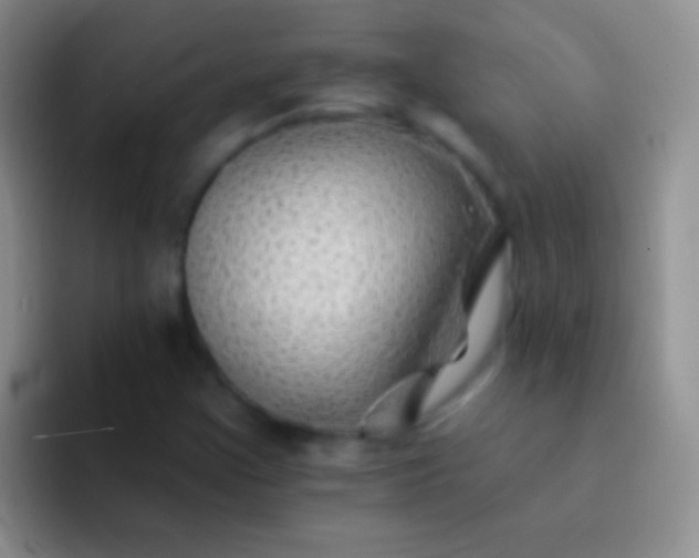 X0000092081355200709262056