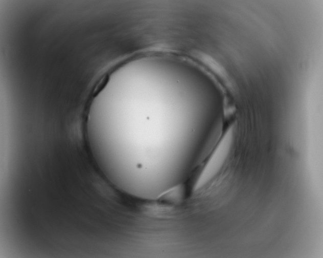 X0000092081356200709262056