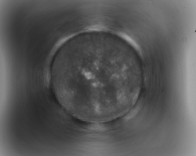 X0000092081358200709262056