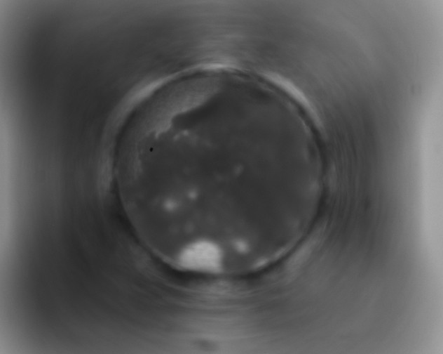 X0000092081359200709262056