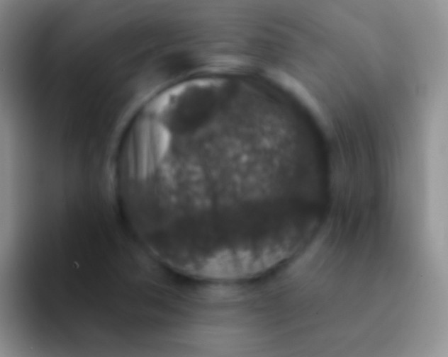 X0000092081362200709262056