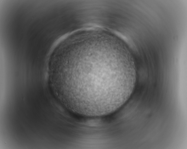 X0000092081363200709262056