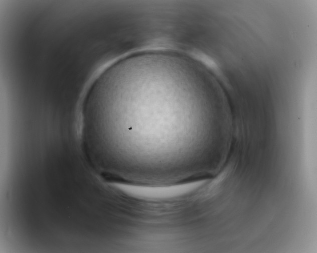 X0000092081366200709262056