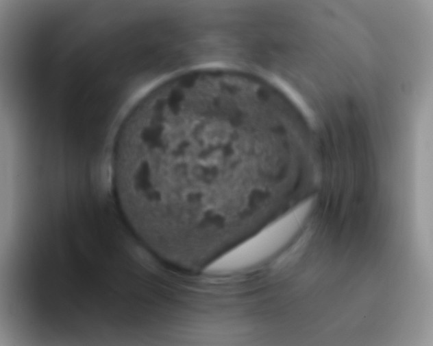 X0000092081367200709262056