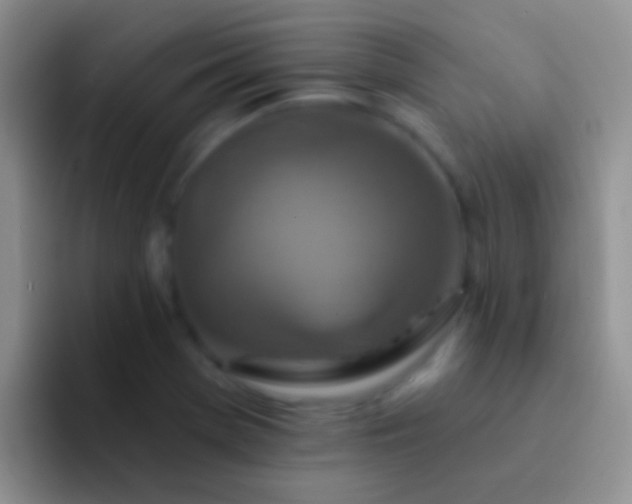 X0000092081369200709262056