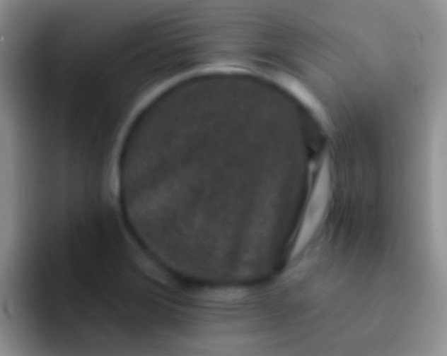 X0000092081372200709262056