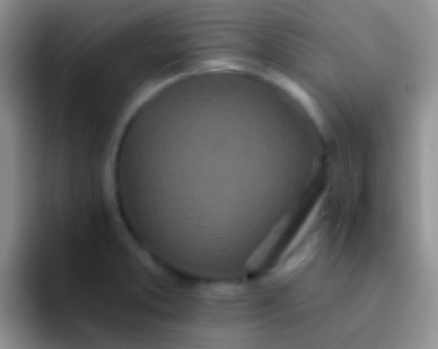 X0000092081373200709262056