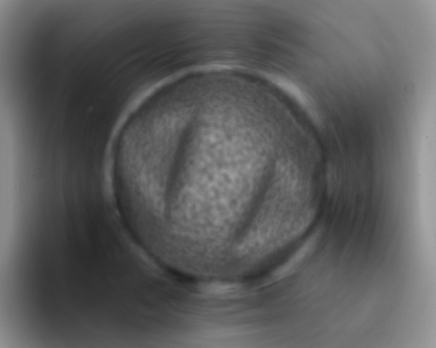X0000092081374200709262056