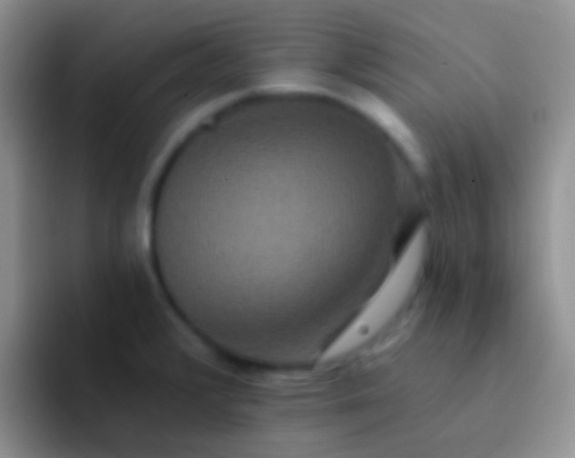 X0000092081376200709262056