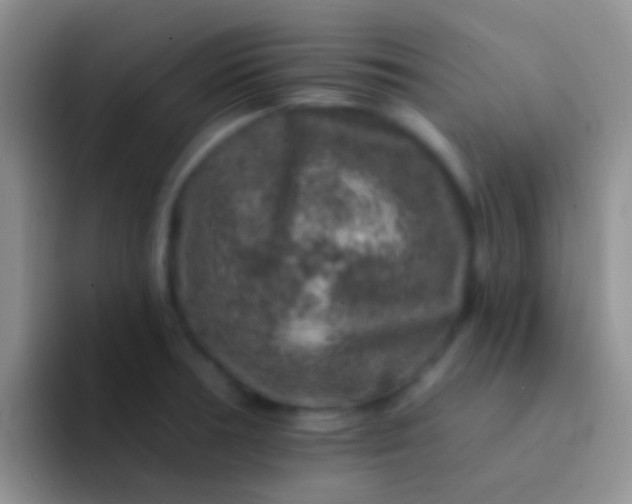 X0000092081378200709262056