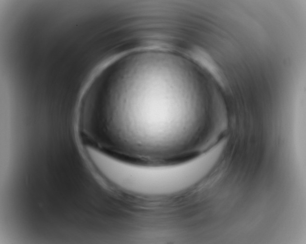 X0000092081379200709262056