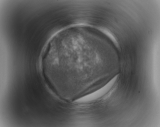 X0000092081382200709262056