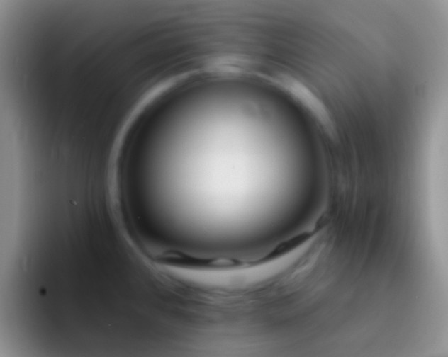 X0000092081384200709262056