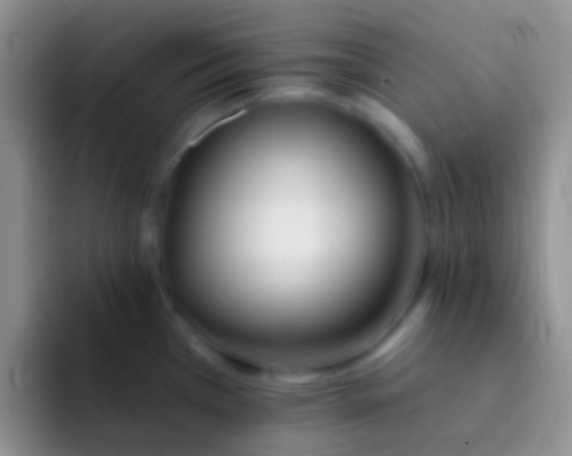 X0000092081385200709262056
