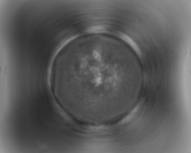 X0000092081386200709262056
