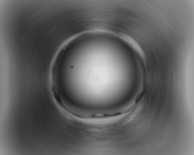 X0000092081388200709262056