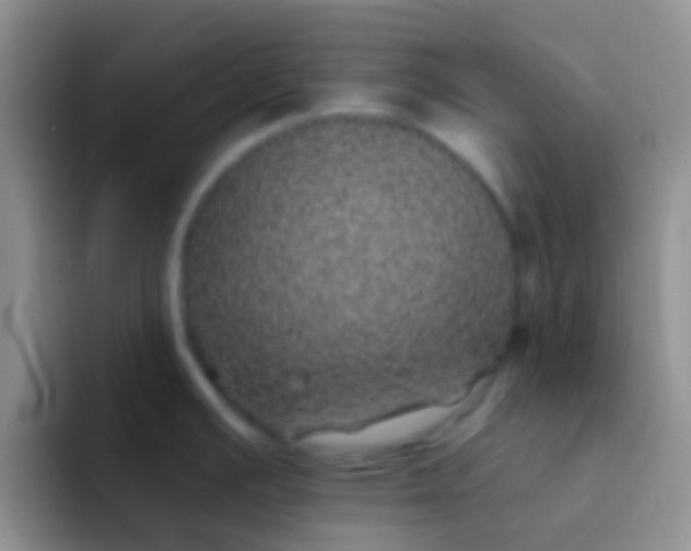 X0000092081391200709262056