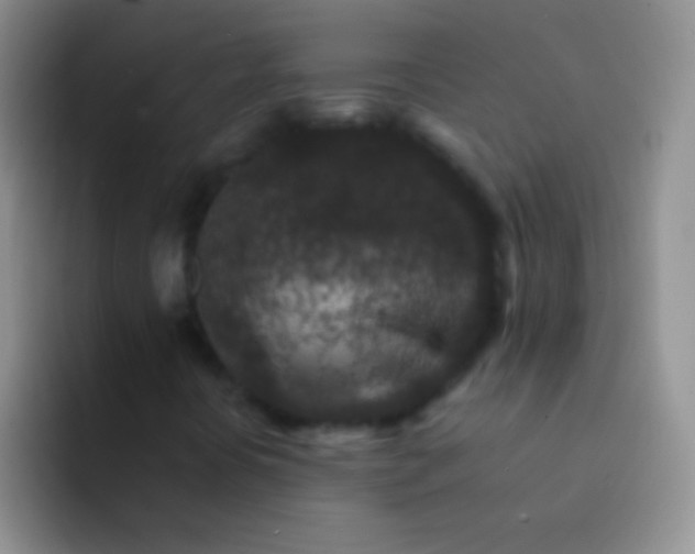 X0000092081394200709262055