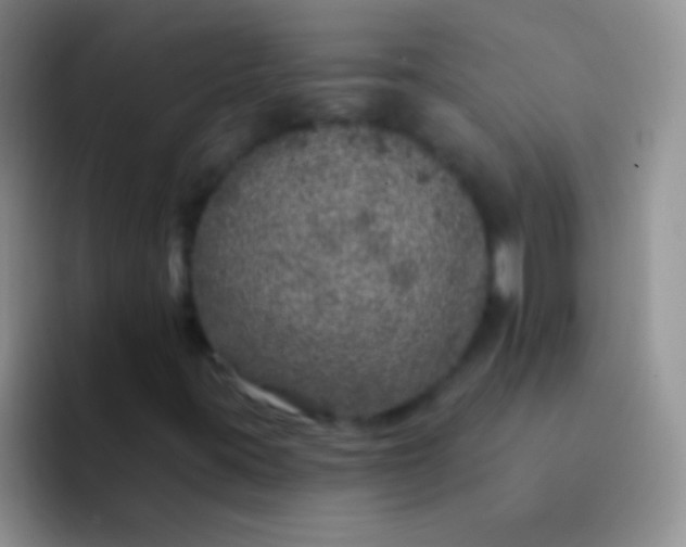 X0000092081395200709262056