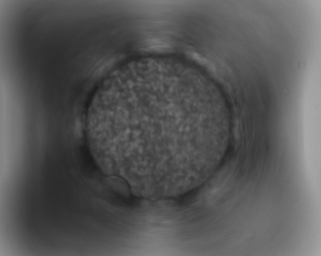X0000092081397200709262056