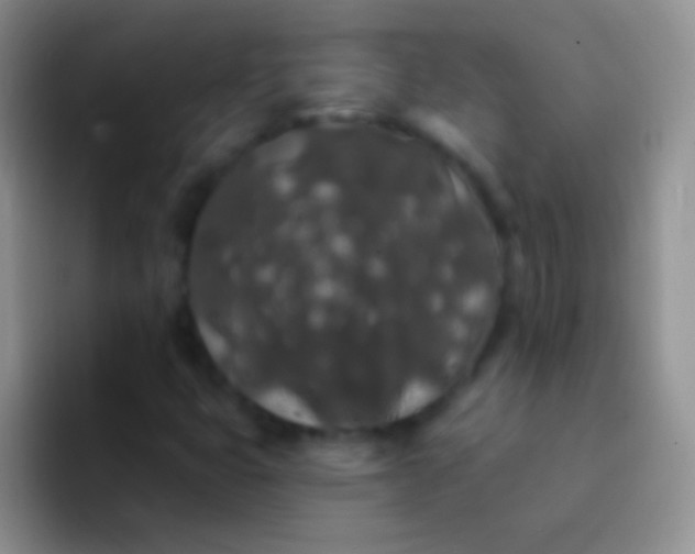 X0000092081399200709262056