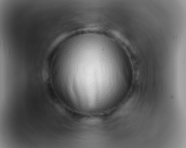 X0000092081400200709262056