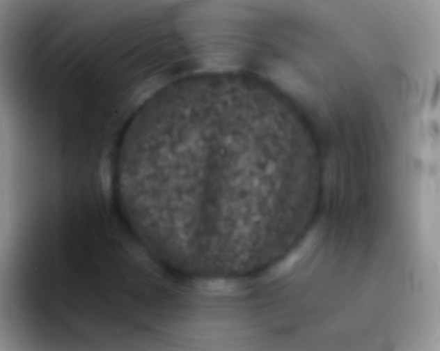 X0000092081401200709262056