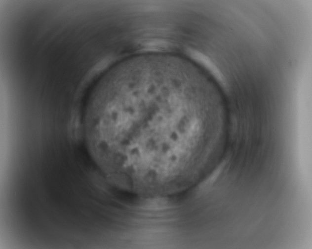 X0000092081403200709262056