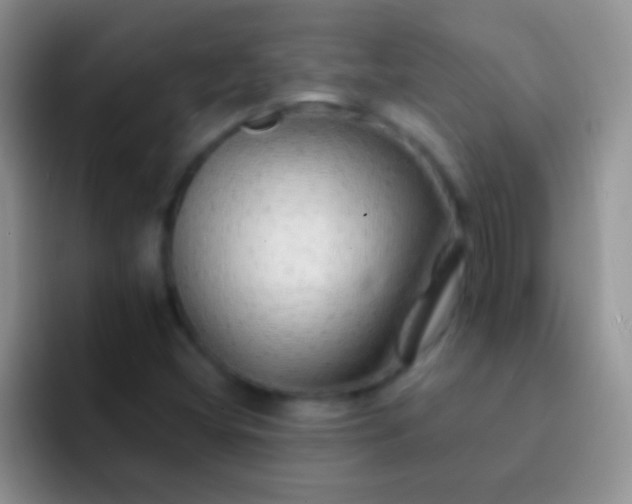 X0000092081404200709262056