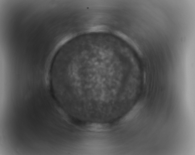 X0000092081405200709262056