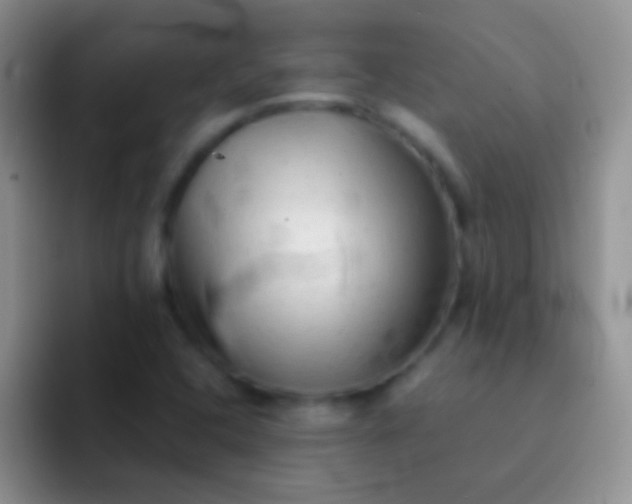 X0000092081408200709262056