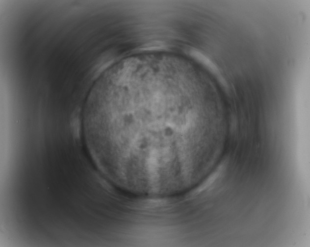 X0000092081409200709262056