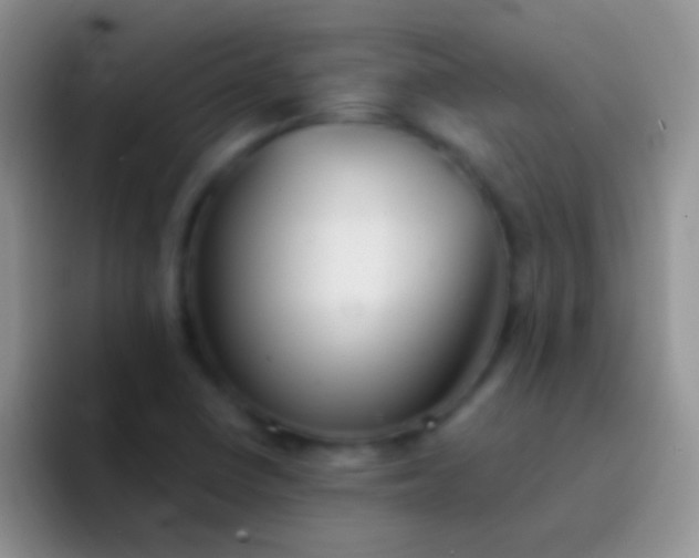 X0000092081410200709262056