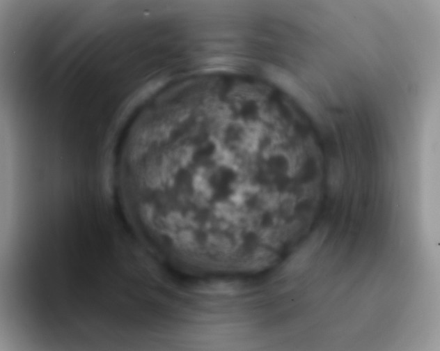 X0000092081411200709262056