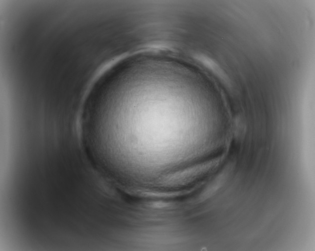 X0000092081412200709262056