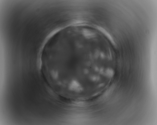 X0000092081413200709262056
