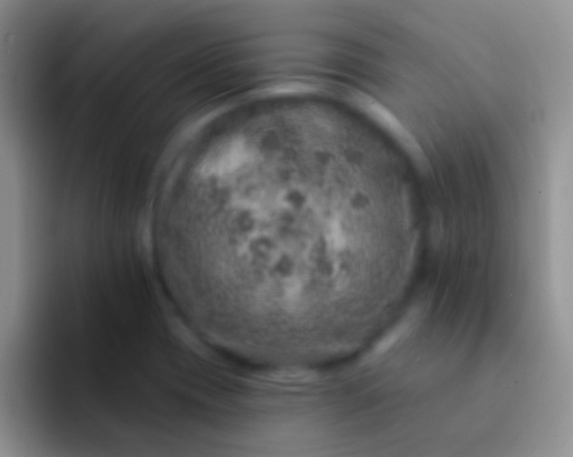 X0000092081417200709262056