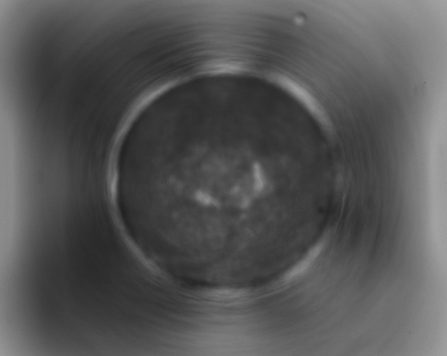 X0000092081418200709262056