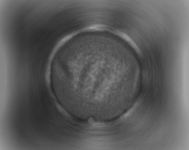 X0000092081421200709262056