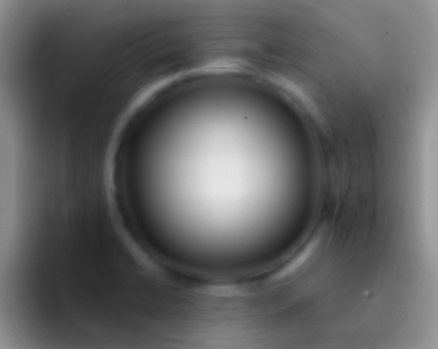 X0000092081422200709262056