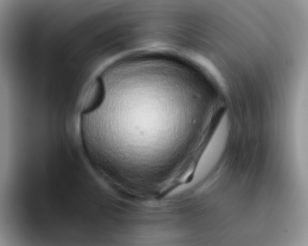 X0000092081424200709262056