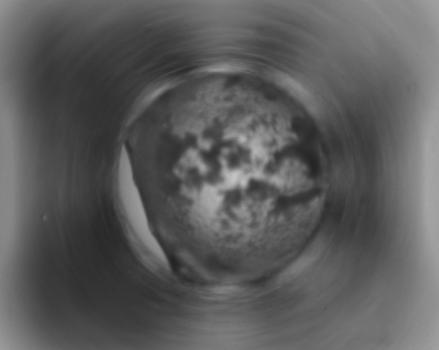 X0000092081425200709262056